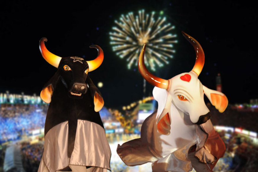 Festival de Parintins - BOI-BUMBA-PARINTIS
