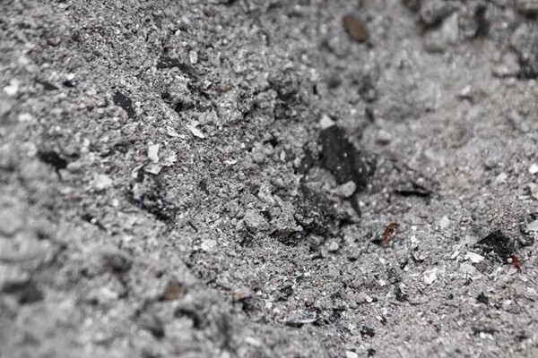 Corpo carbonizado é encontrado em sítio no Amazonas