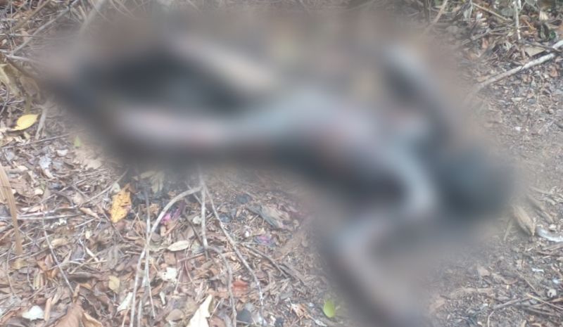 corpo carbonizado é encontrado em ramal